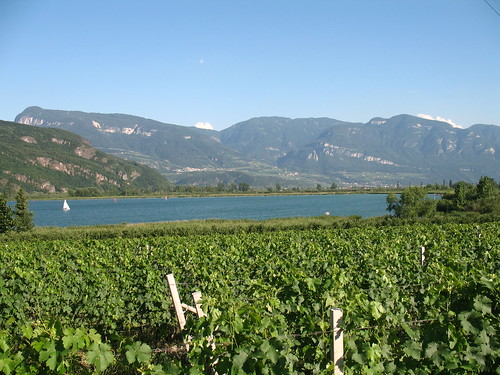Blick auf den Kalterer See von der Weinstrasse zwischen Kaltern und Tramin