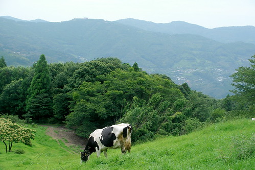 和歌山県黒沢牧場