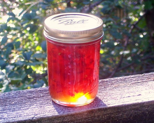 Red Chile and Apple Jam
