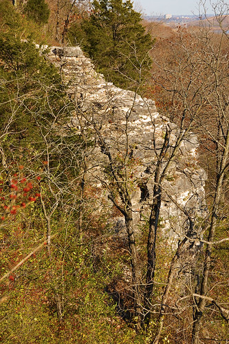 Castlewood State Park, in Saint Louis County, Missouri, USA - bluff with layers of flint