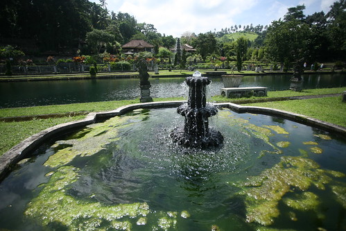 Tirta Gangga fountain w/ algae