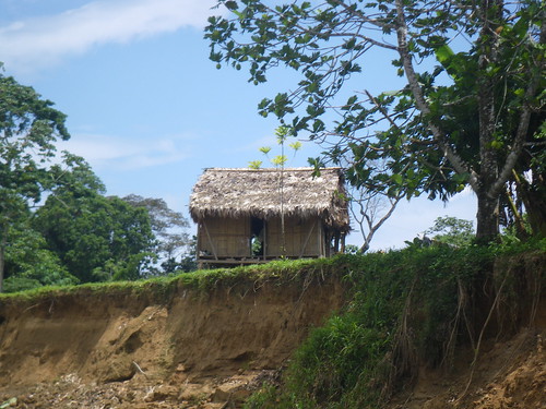 House along the Rio Platano