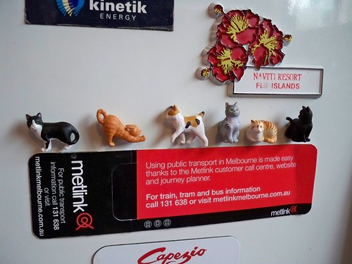 kitty magnets 270