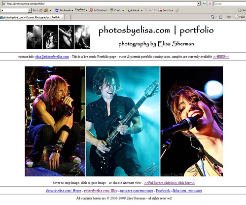portfolio screenshoot http://photosbyelisa.com/portfolio