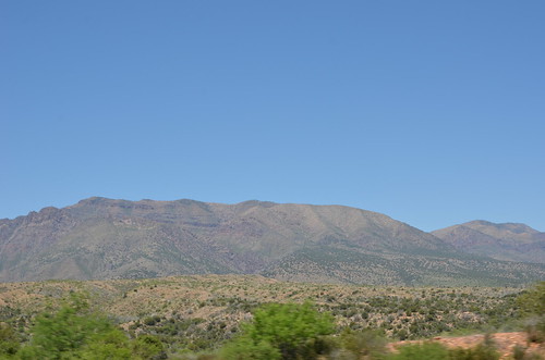 Arizona 2011 224