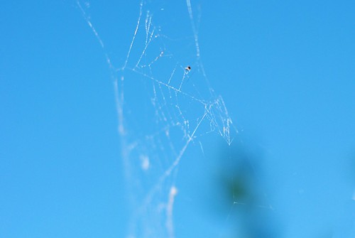 01 a part of the web