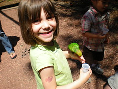  7 - Sophie and the Lorikeet