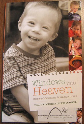 Windows Into Heaven - Stories Celebrating Down Syndrome by Stacy & Michelle Tetschner