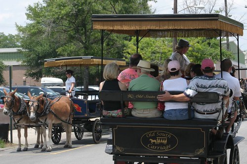More carriages. Charleston dwntwn.