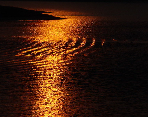 crossed tint - sunset in lake