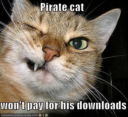 funny-pictures-pirate-cat-grimaces