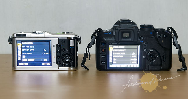 Olympus E-P1 and E-520 Back panel and LCD