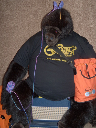 Gorilla stole my bag and my project!