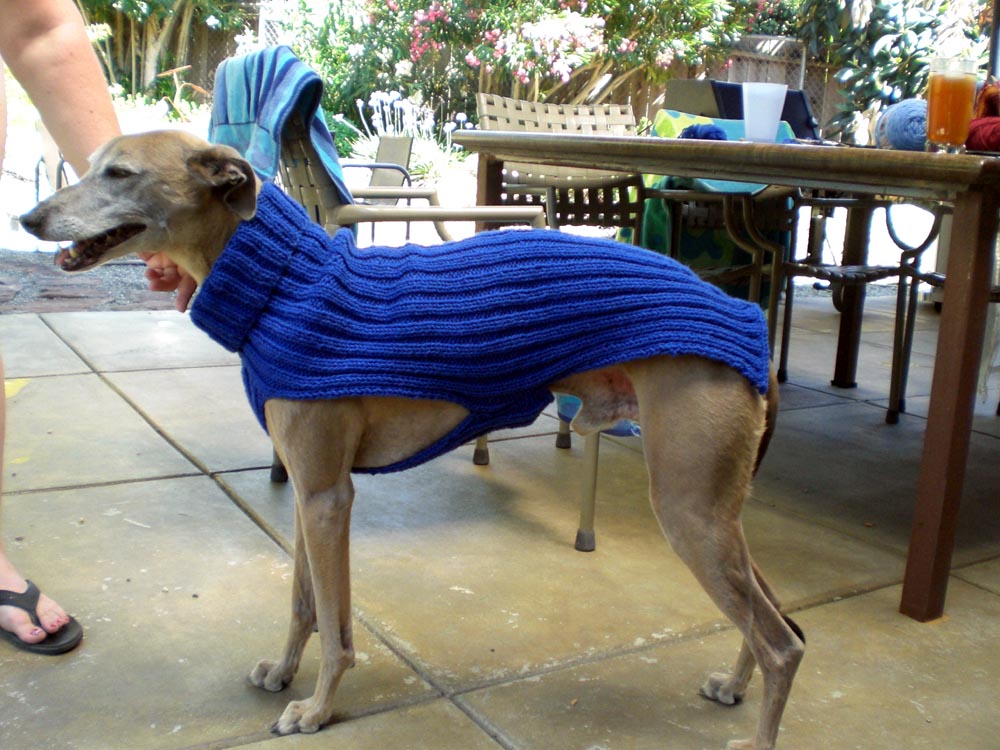 Tighe's new sweater