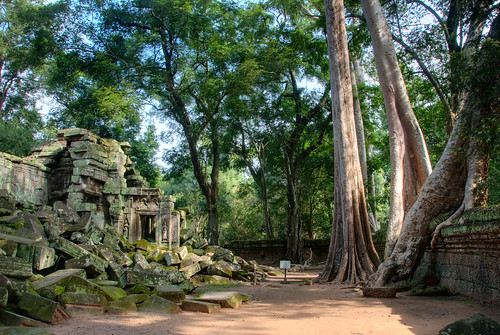 Angkor 34