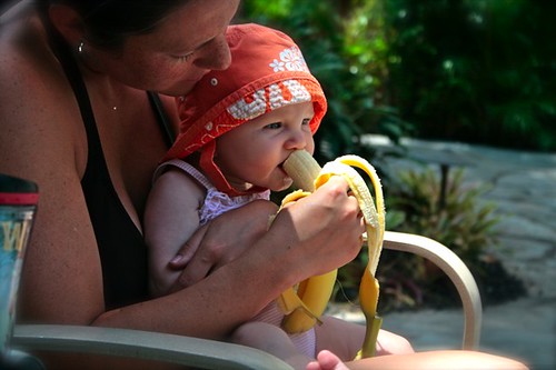 Zoey eating a banana by the pool