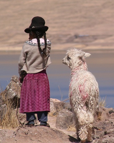 Zoey's peruvian friend and llama