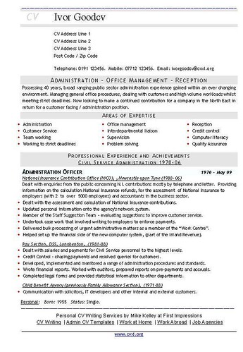 professional resume formatting. format of cv. professional