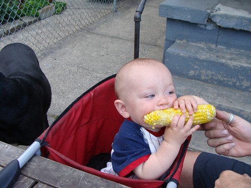 Silas likes corn on the cob