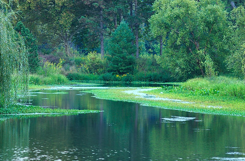 River 3, in Forest Park, Saint Louis, Missouri, USA