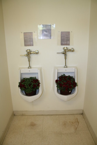Urinals as Planters