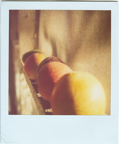 mangoes. by Kerry Ball