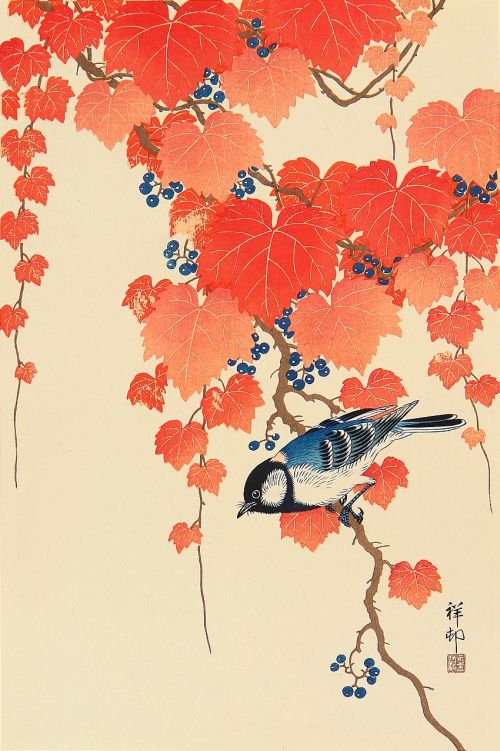 bird with red ivy..