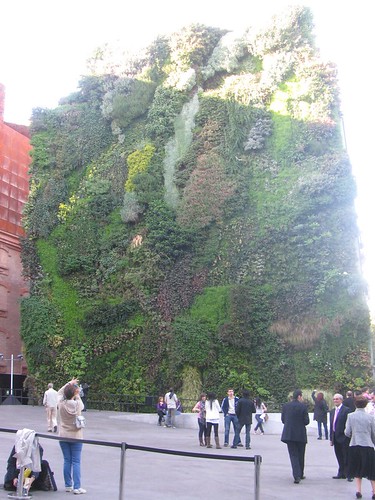 Vertical garden by Patrick Blanc outside Caixa Forum Madrid.