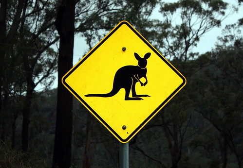 Rock Wallaby Sign by wollombi