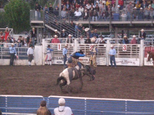 An evening at the Rodeo - Bronco Riding