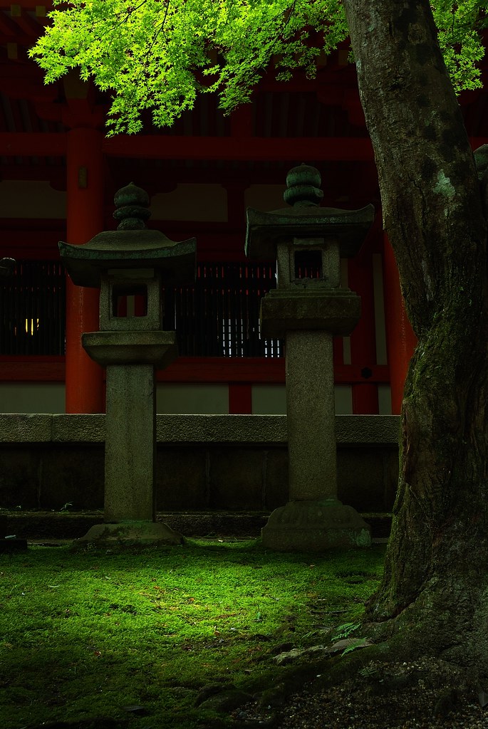The Light at the Kasuga-Shrine