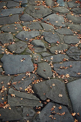 Stone Path and Leaves