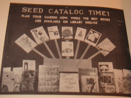 Seed Catalog Time!