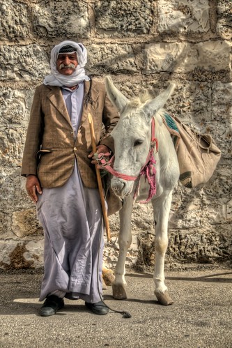 An Arab and his Donkey