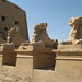 Temple of Karnak, Way of Offerings with avenue of criosphinxes usurped by Ramesses II (4) by Prof. Mortel