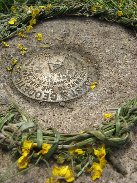 Max Patch summit marker