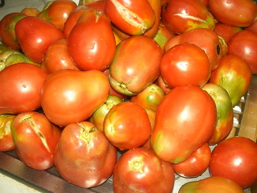 heirloom tomatos variety of hania crete