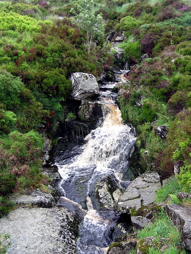 Ireland_Waterfall_SallyGap