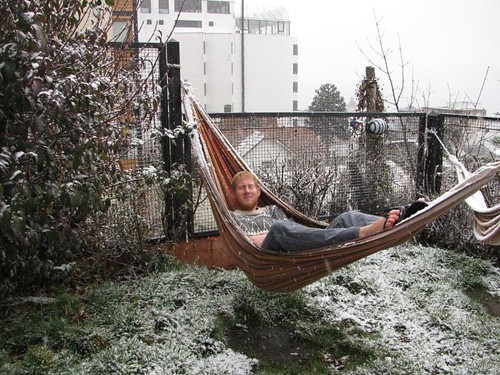 hammock in the snow