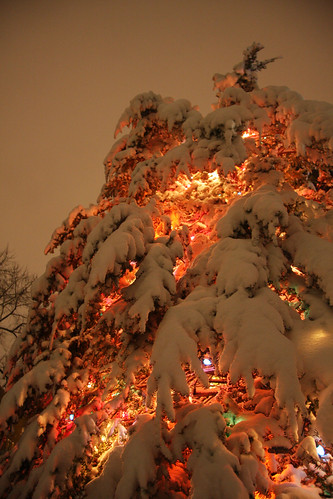 Snowy Christmas Lights (2 of 2)