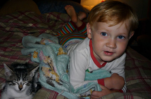 Jack and his new kitten