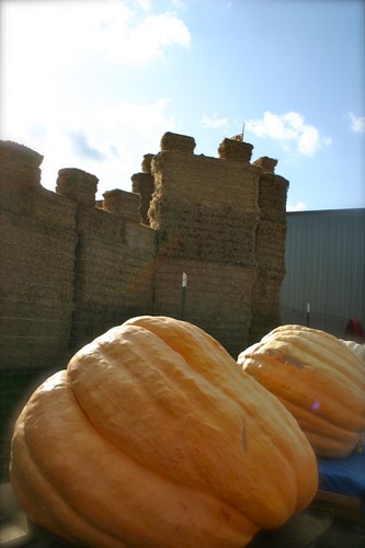 Pumpkins in front of the hay castle