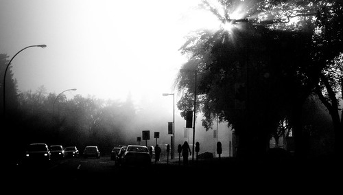 Foggy Morning at the University (2c)