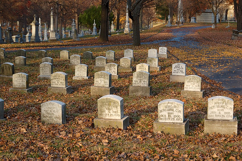 Calvary Catholic Cemetery, in Saint Louis, Missouri, USA - graves of Vincentians