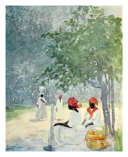 027- Calor del mediodia en Jamaica-The West Indies 1905- Ilustrations Archibald Stevenson Forrest