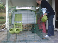 Santa brought a backyard chicken coop for Chri...