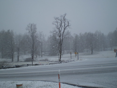 First Snow, December 5, 2009