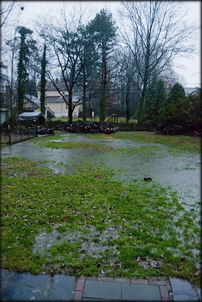 flooded-yard2