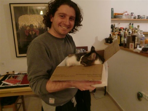 My Cat In A Box