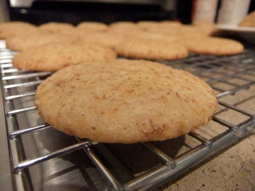 Honey-Wheat Cookies